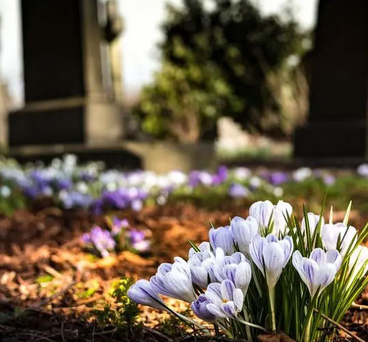 Cremation Plymouth, Direct Cremation Plymouth, Cremation Saltash, Low Cost Cremation Plymouth, Low Cost Cremations South Hams,  Cremation funeral  Plymouth